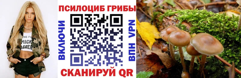 KRAKEN рабочий сайт Бахчисарай Галлюциногенные грибы ЛСД